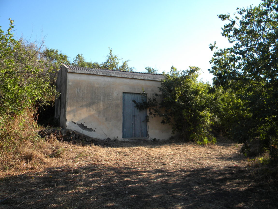DSCN8061 .JPG